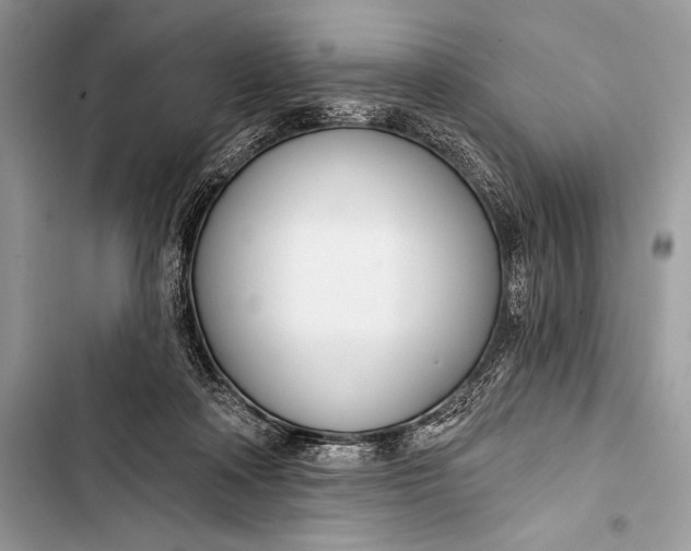 X0000103490314200810031611