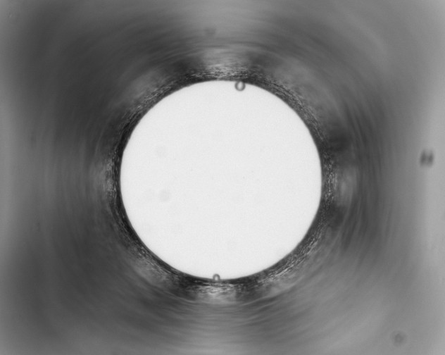 X0000103490317200810031611