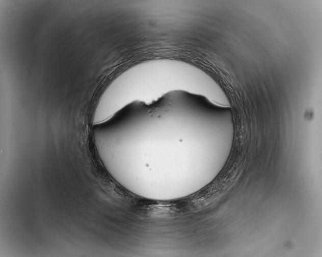 X0000103490320200810031611