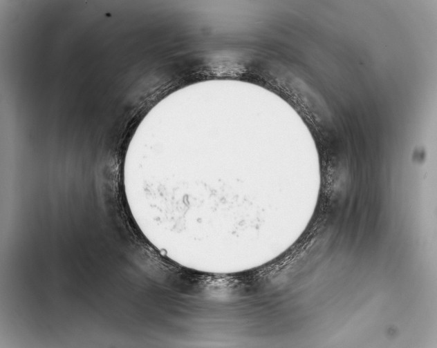 X0000103490321200810031611