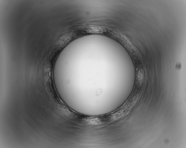 X0000103490322200810031611