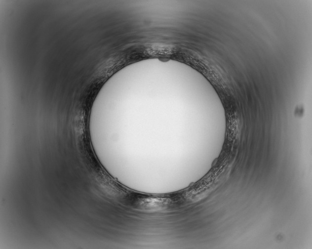 X0000103490323200810031611