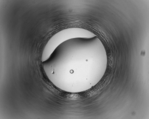 X0000103490324200810031611