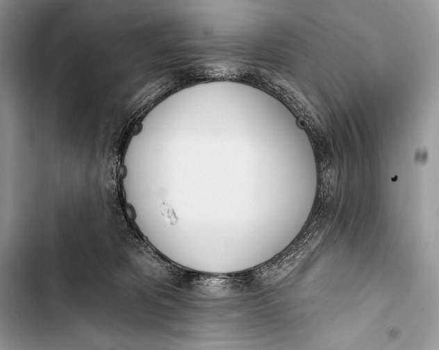 X0000103490325200810031611