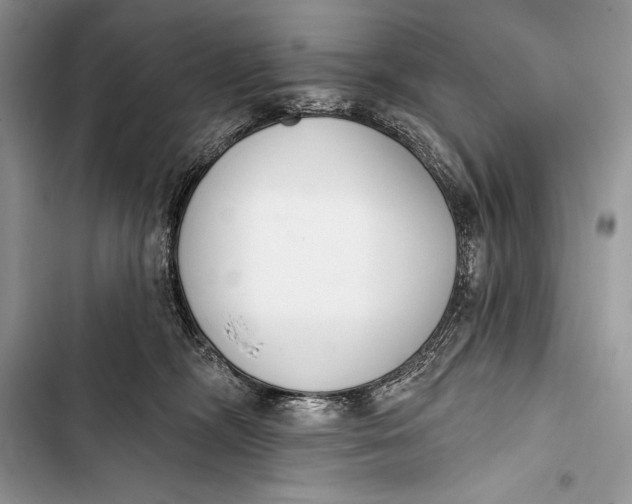 X0000103490326200810031611