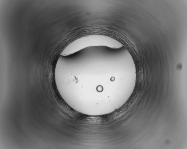 X0000103490328200810031611