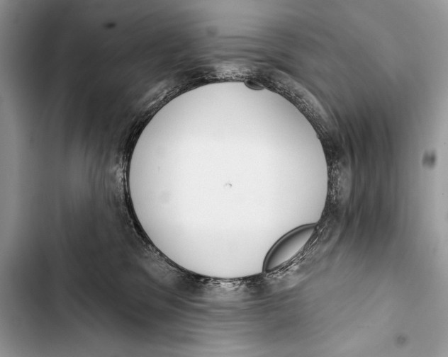 X0000103490329200810031611