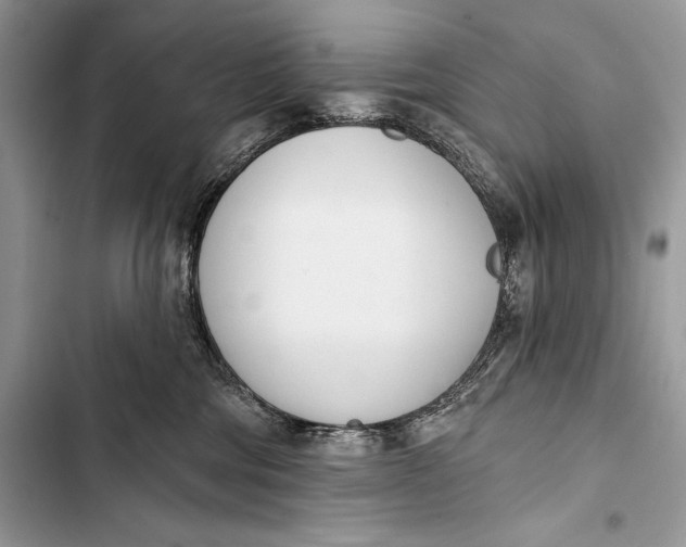 X0000103490330200810031611