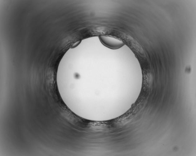 X0000103490331200810031611