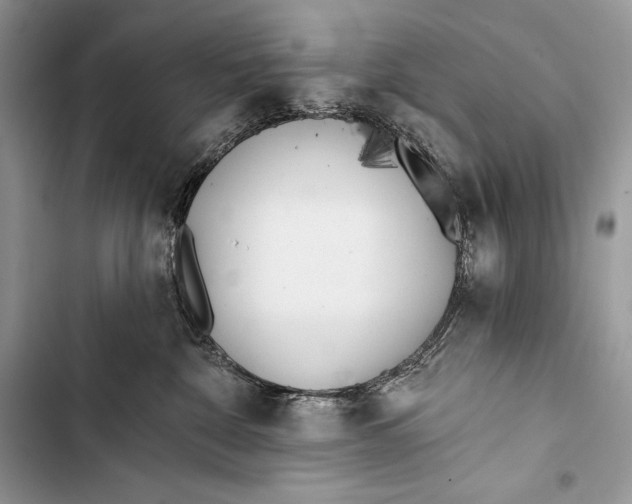 X0000103490332200810031611