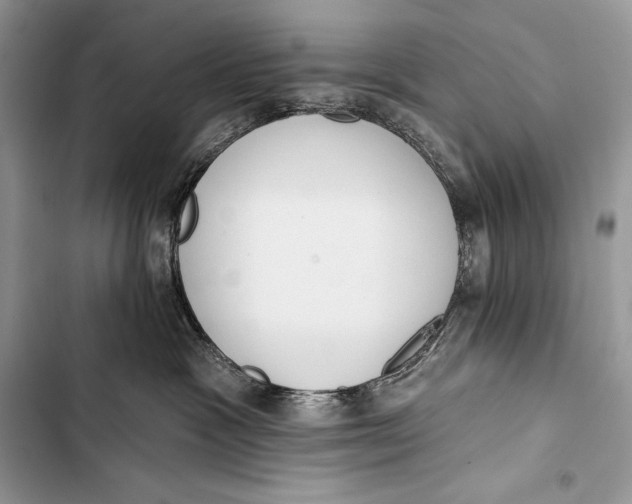 X0000103490333200810031611