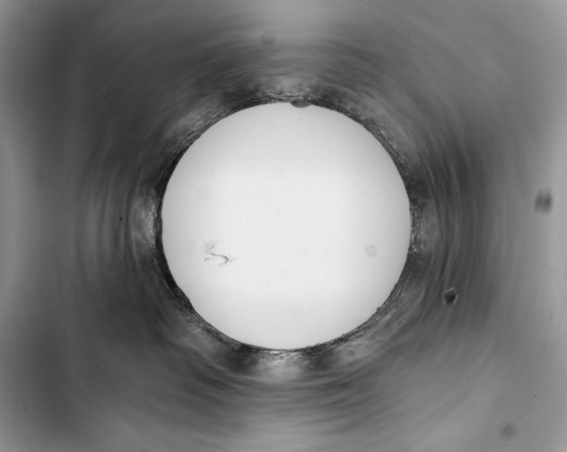 X0000103490334200810031611