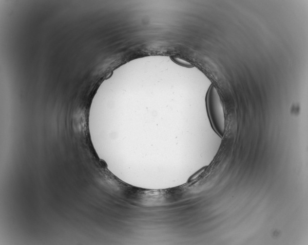 X0000103490335200810031611