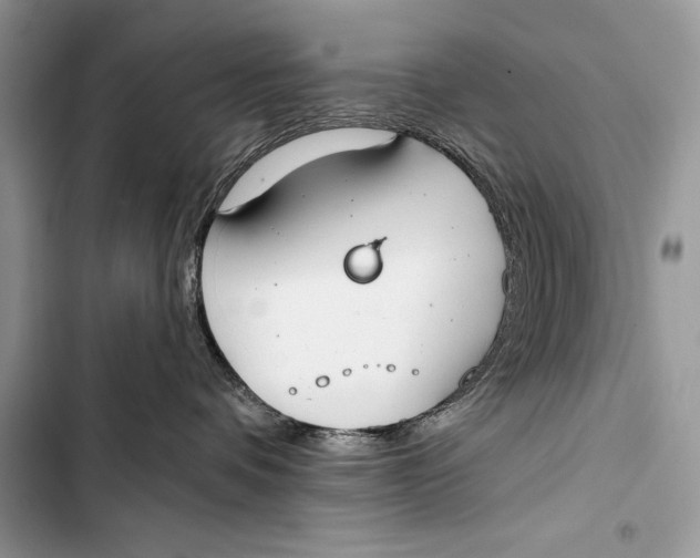 X0000103490336200810031611