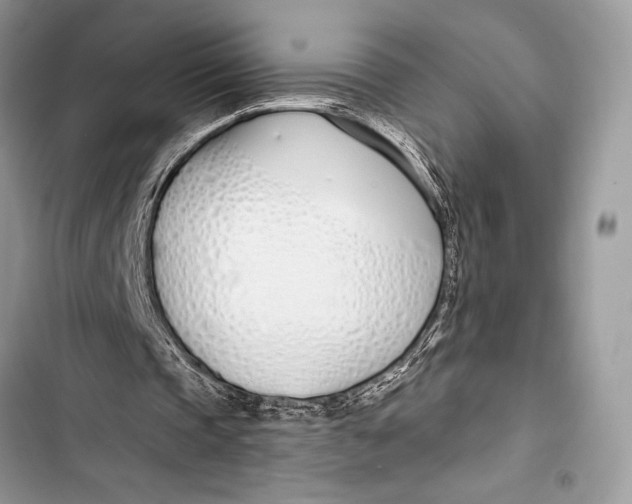 X0000103490337200810031610