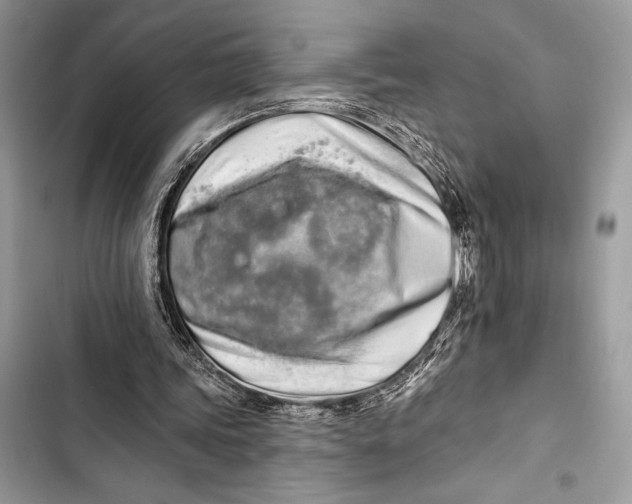 X0000103490339200810031610