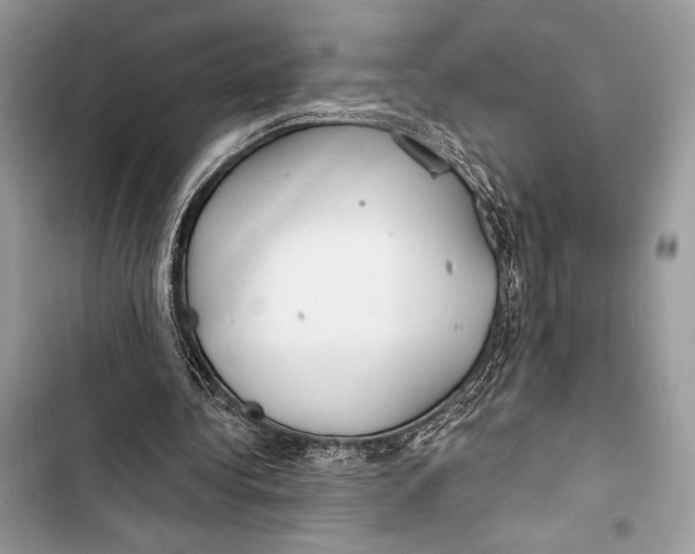 X0000103490340200810031610