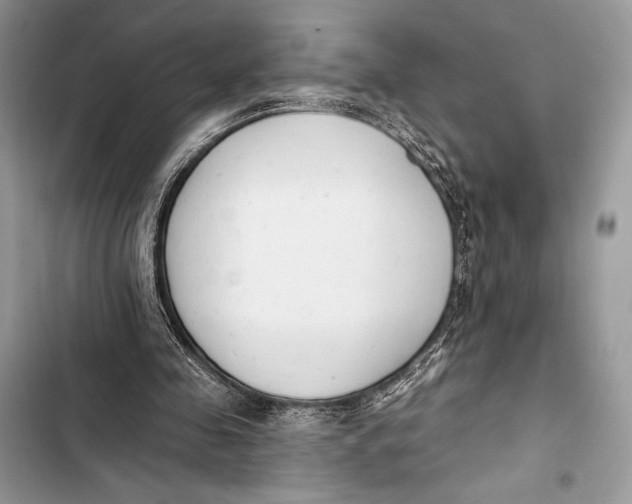 X0000103490341200810031610