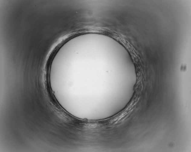 X0000103490342200810031610