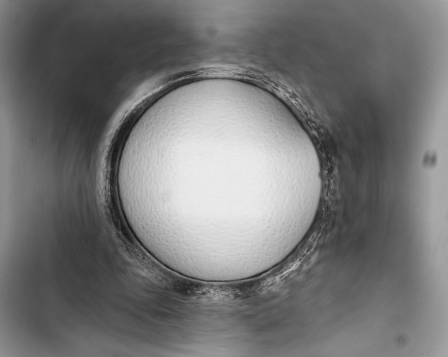 X0000103490343200810031610