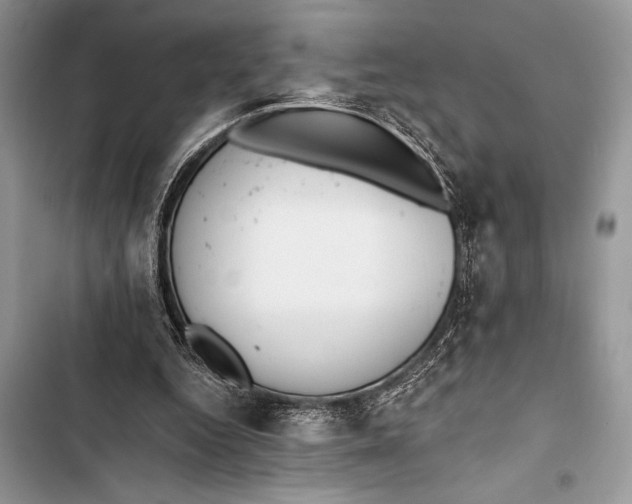 X0000103490344200810031610