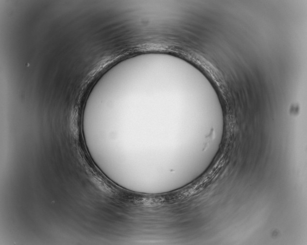 X0000103490345200810031610