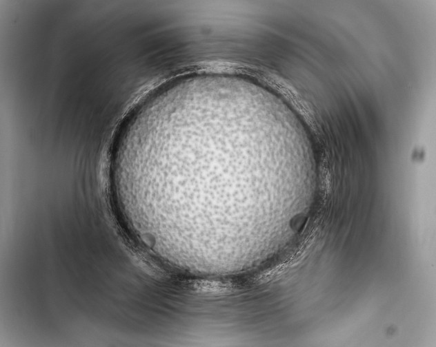 X0000103490347200810031610