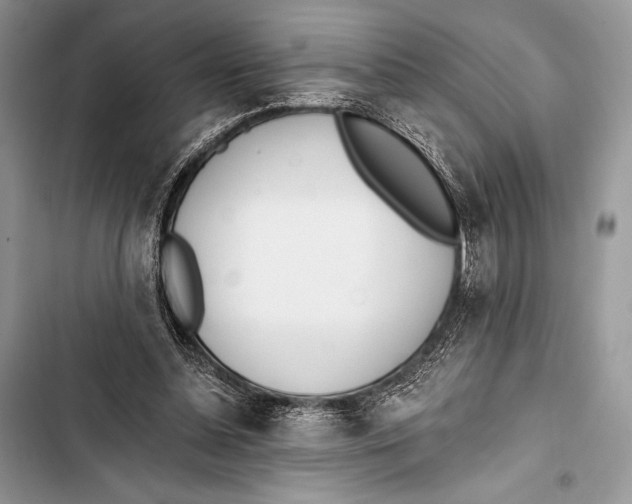 X0000103490348200810031610