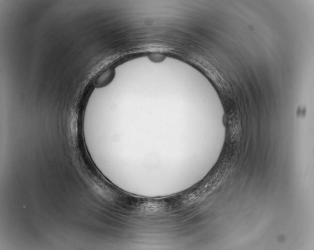 X0000103490350200810031610