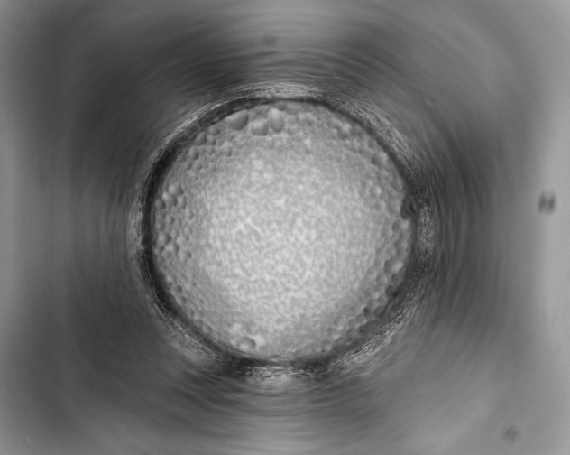 X0000103490351200810031610