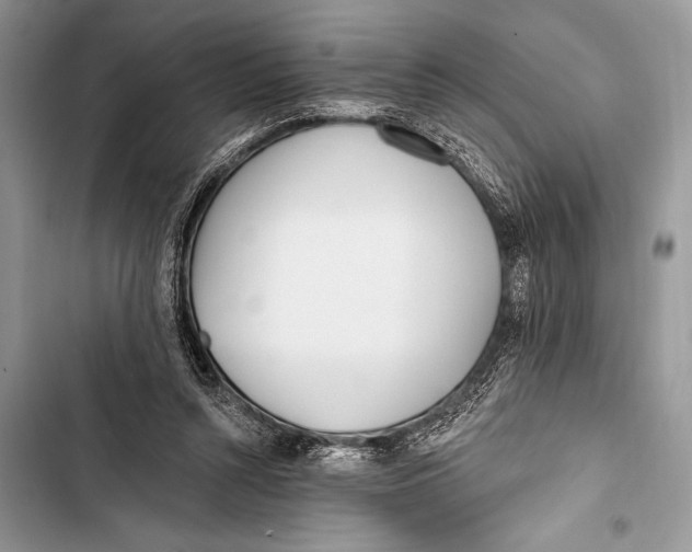 X0000103490352200810031610