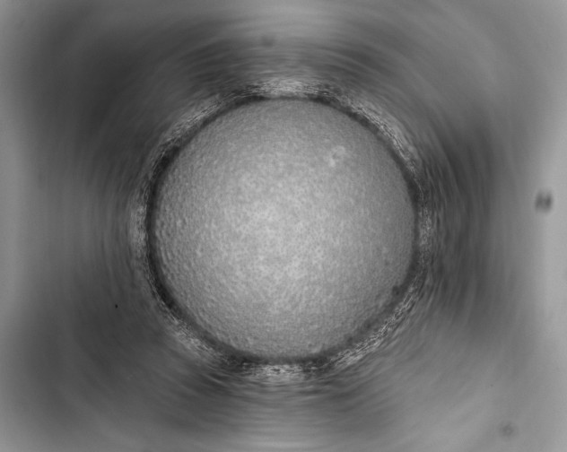 X0000103490353200810031610