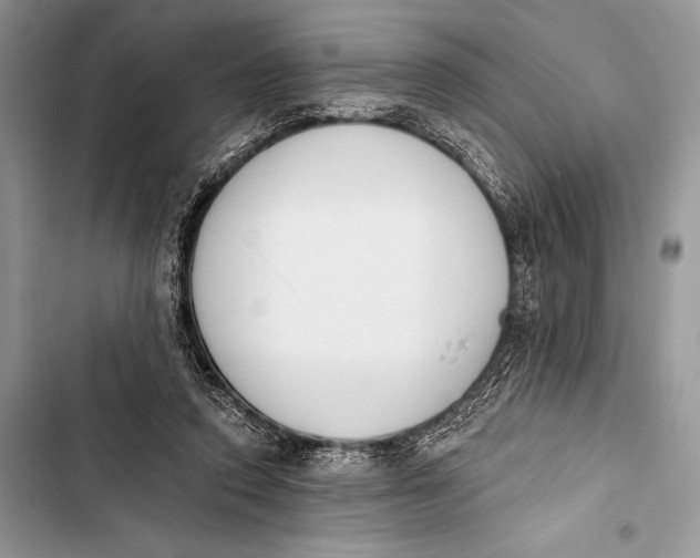 X0000103490354200810031610