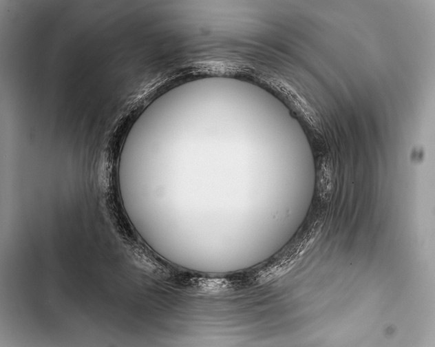 X0000103490355200810031610