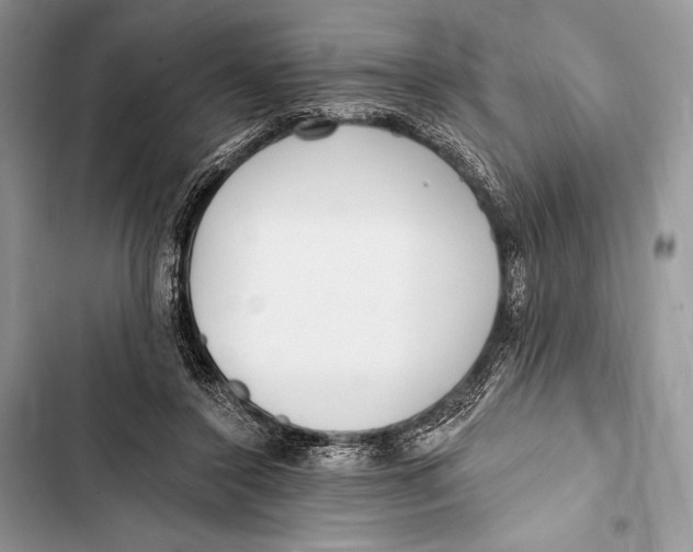 X0000103490356200810031610