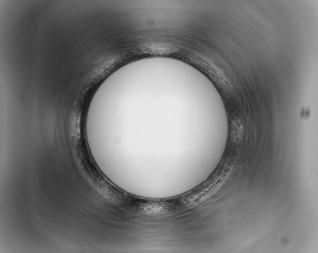 X0000103490358200810031610