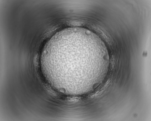 X0000103490359200810031610