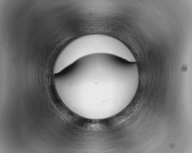 X0000103490360200810031610