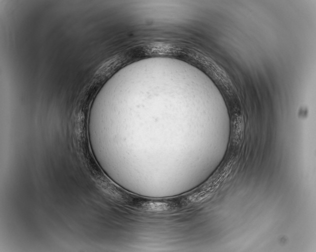 X0000103490361200810031610