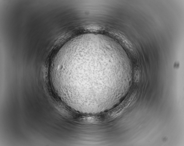 X0000103490365200810031611