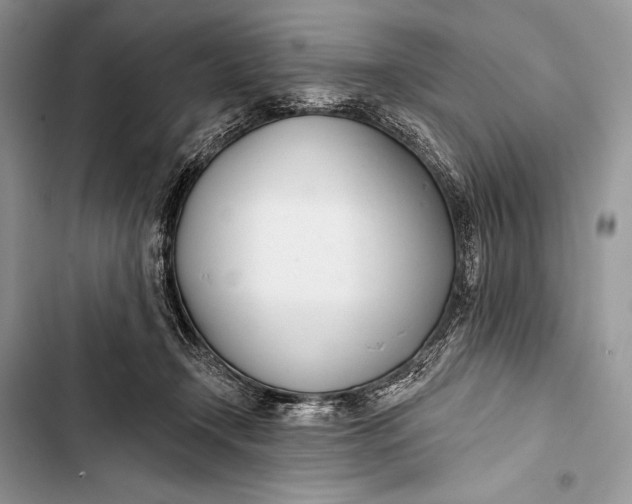 X0000103490366200810031611