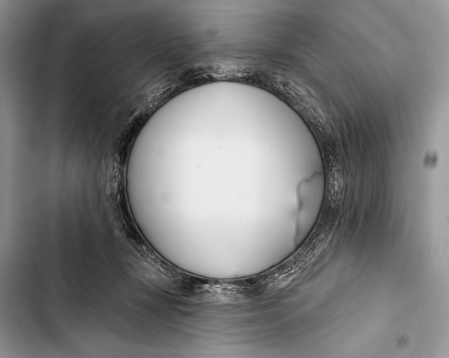 X0000103490367200810031611