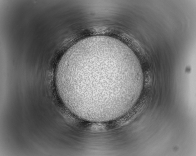 X0000103490369200810031611