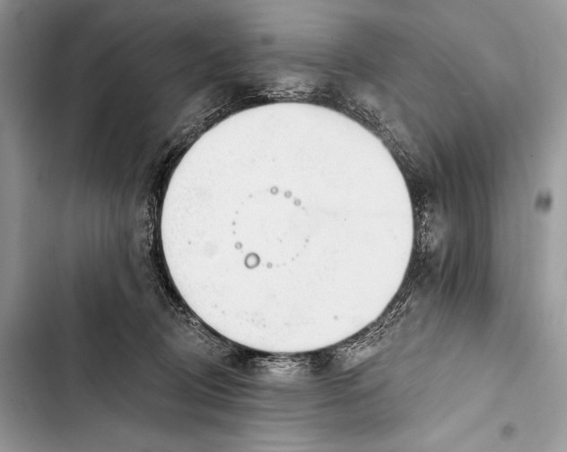 X0000103490370200810031611