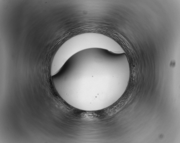 X0000103490372200810031611