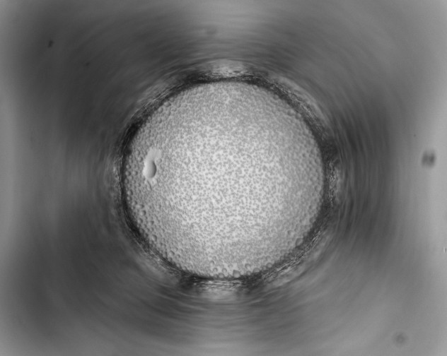 X0000103490373200810031611