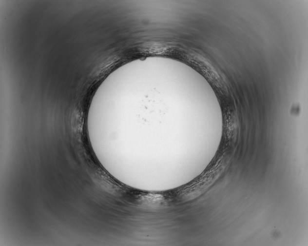 X0000103490374200810031611