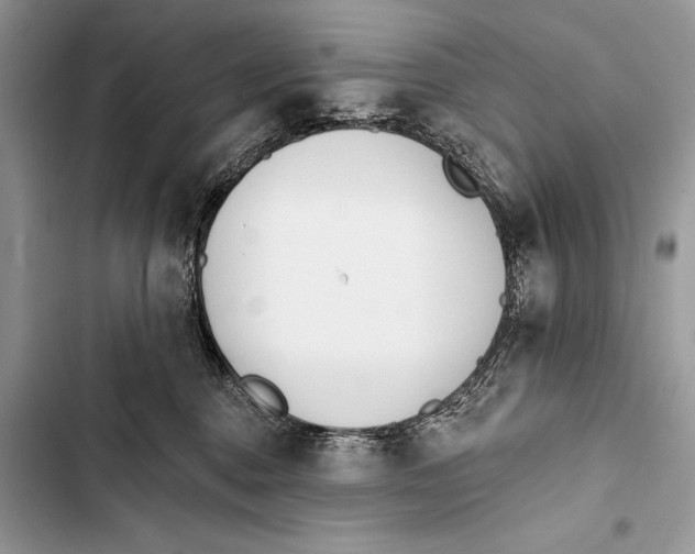 X0000103490376200810031611