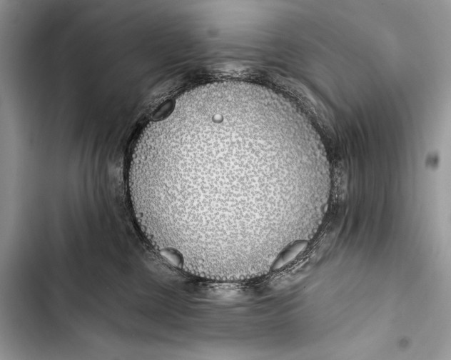 X0000103490377200810031611