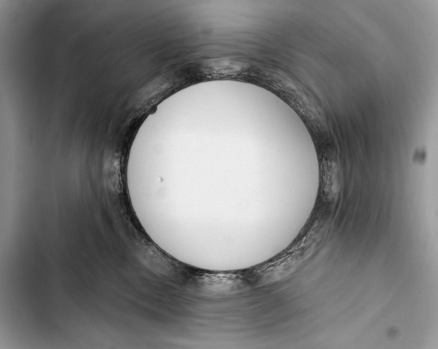 X0000103490378200810031611